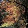 清滝　鳥居本其の弐