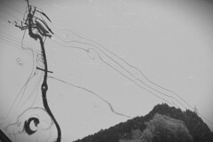 異世界への入り口_3366-2