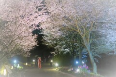 櫻之園