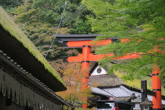 鳥居本　壱の鳥居