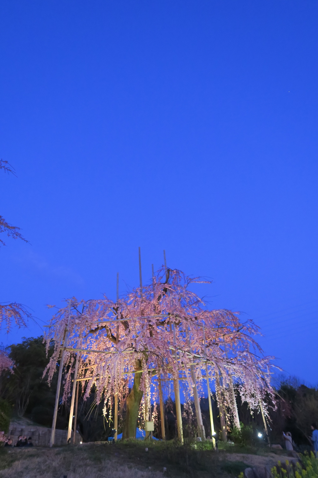 夕暮れ