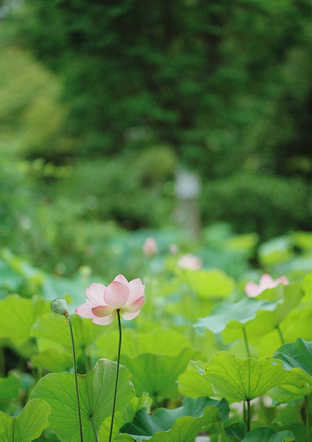 こっち向いて！！