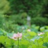 こっち向いて！！