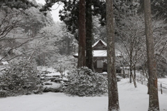再びの最強寒波　京都大原　4
