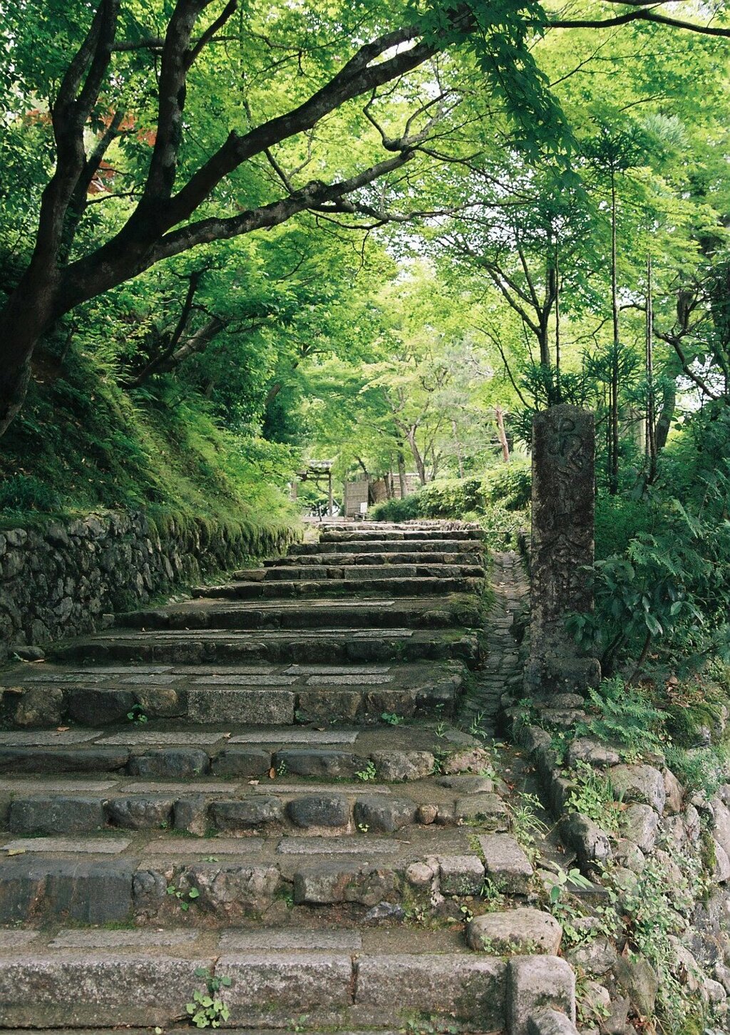 化野念仏寺