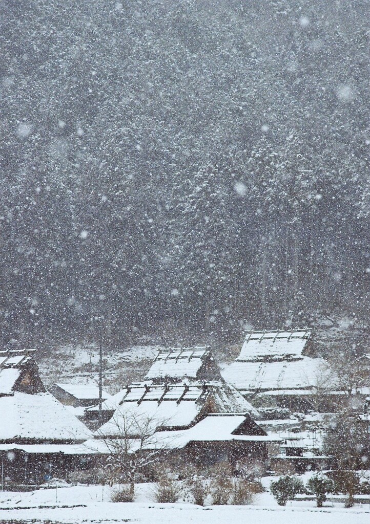里山の雪景色　弐