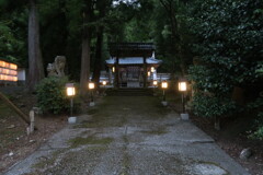 知井八幡神社　参道