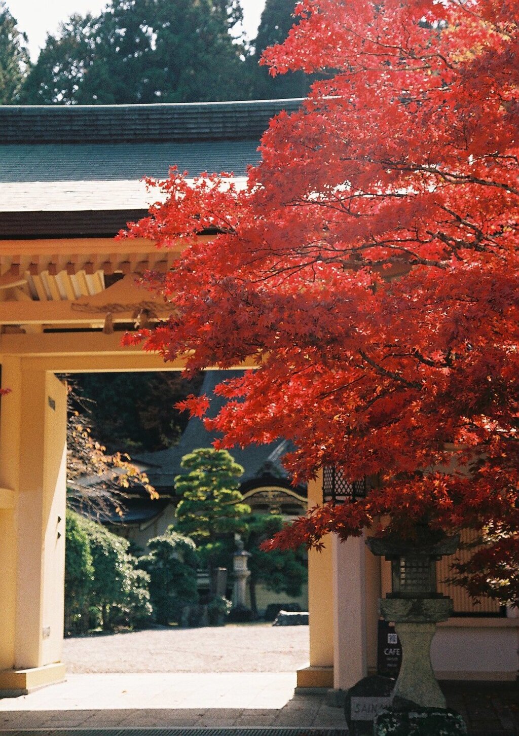 高野山　弐