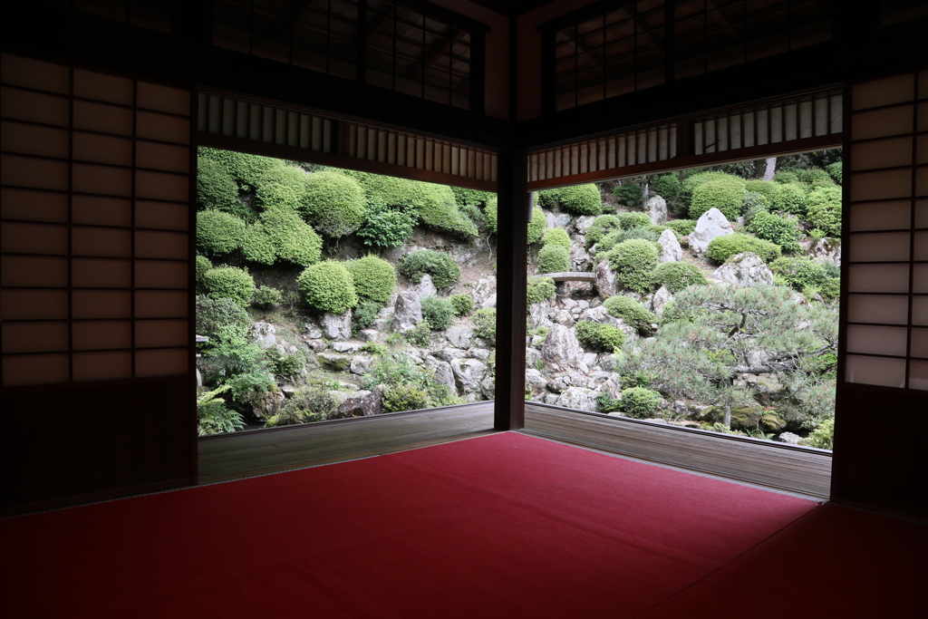 立願山 楊谷寺　新緑の景色 弐