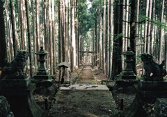 賀茂神社　