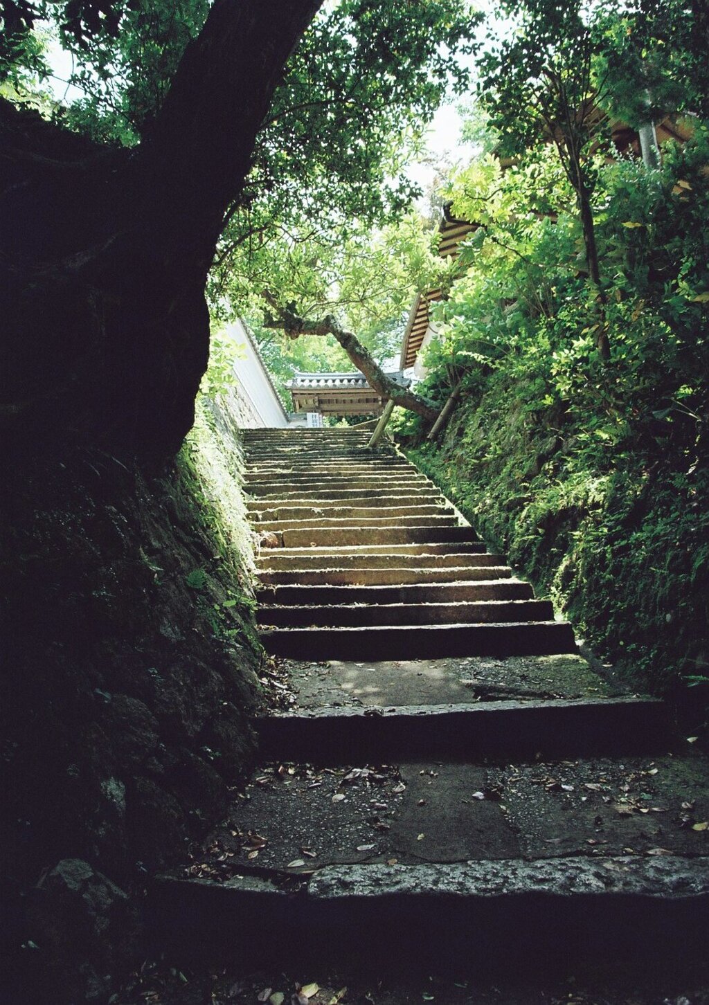 山門への階