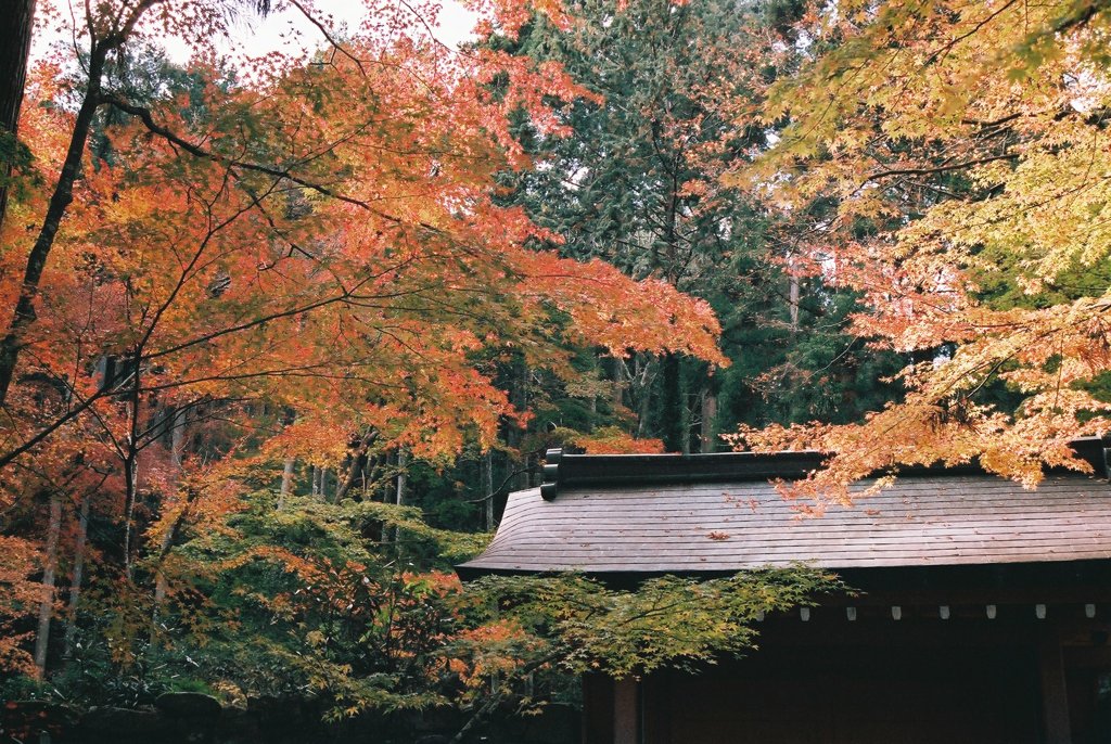 大原　三千院