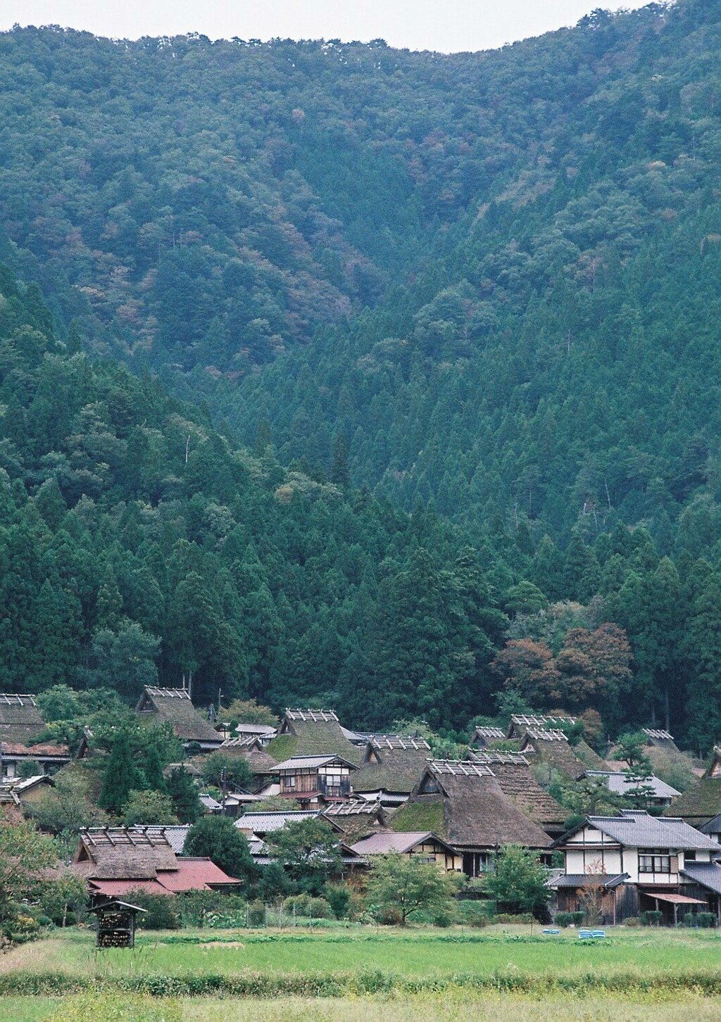 里山