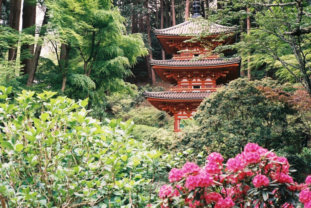 岩船寺2
