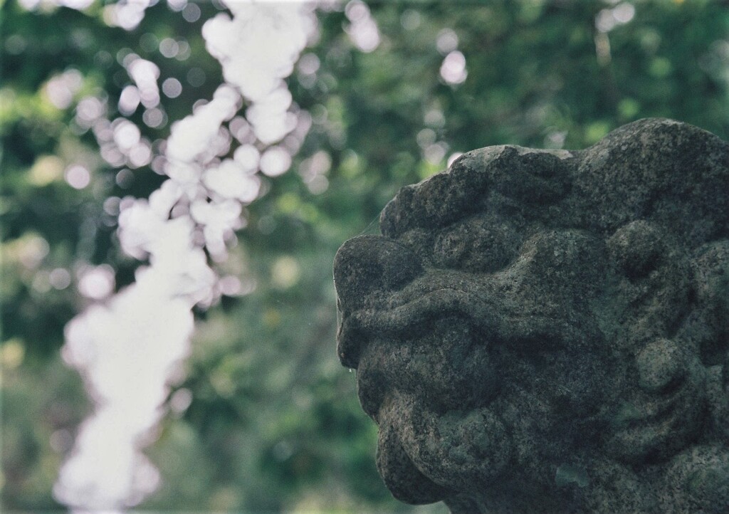 賀茂神社　吽形