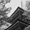 浄瑠璃寺