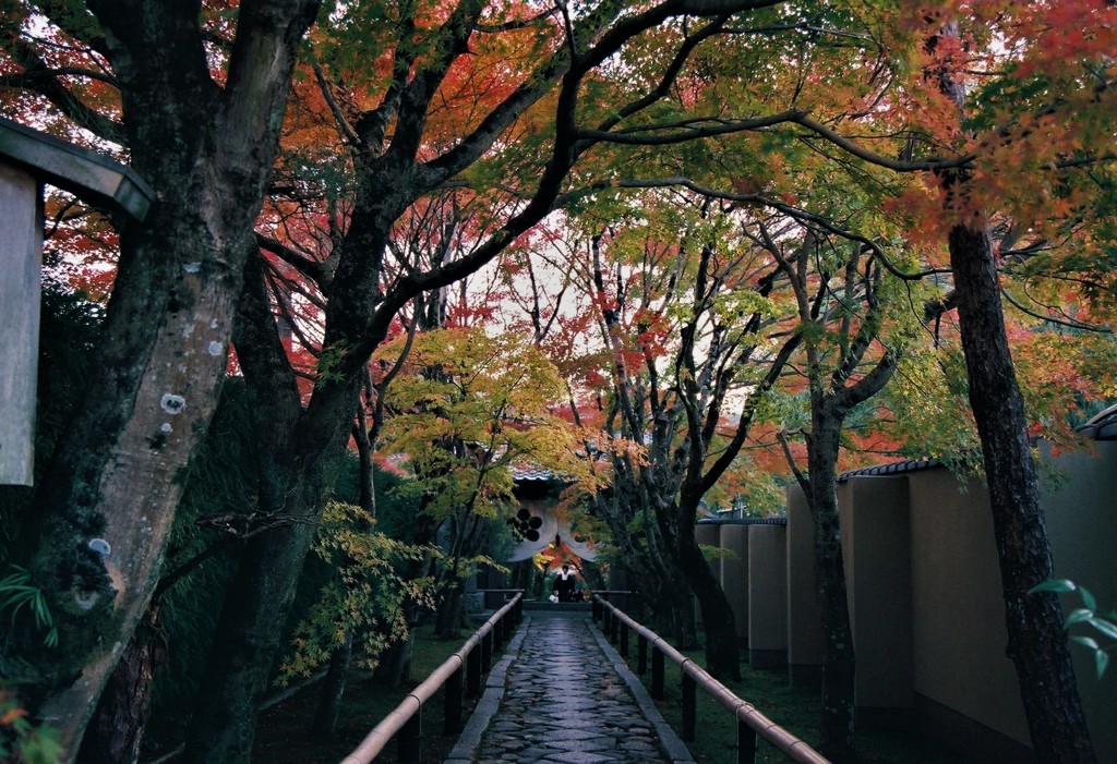 鷹峯　光悦寺