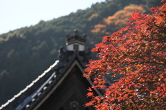 秋色詰め合わせ　漆