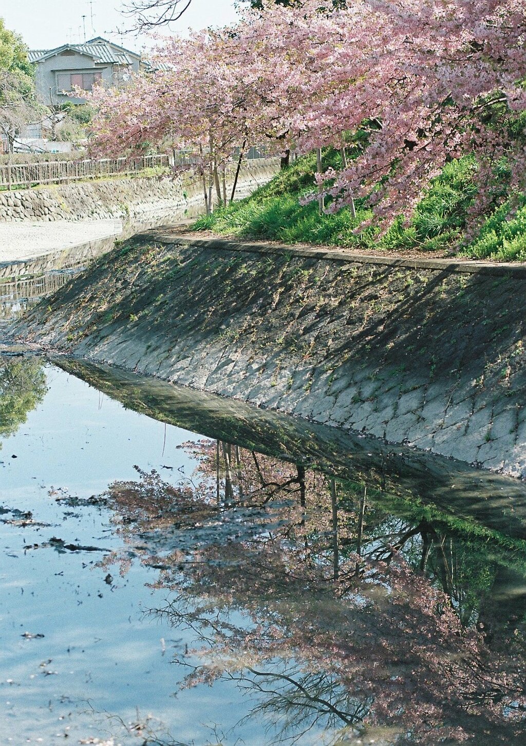 水面