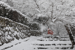 再びの最強寒波　京都大原　9