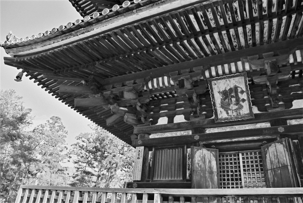 御室 仁和寺