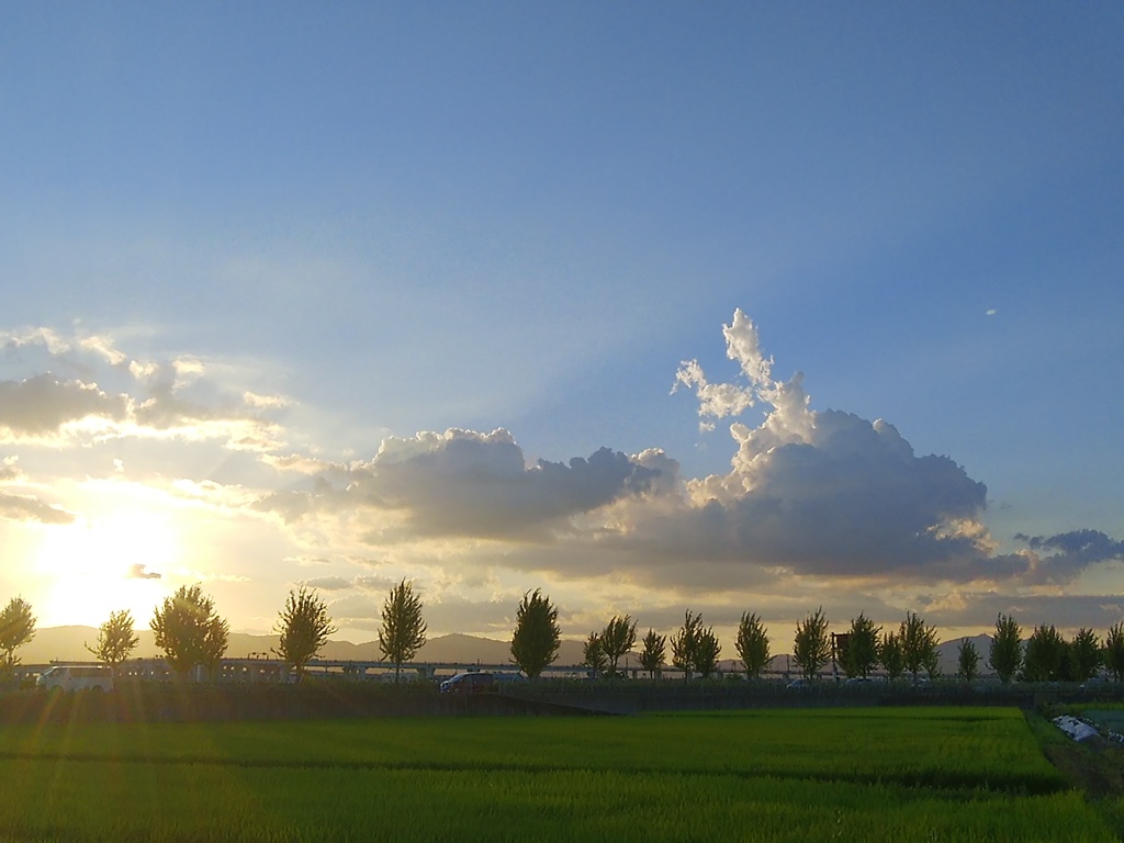 夏の夕日