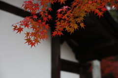 秋色詰め合わせ　其の弐　捌