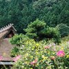 秋に向かう