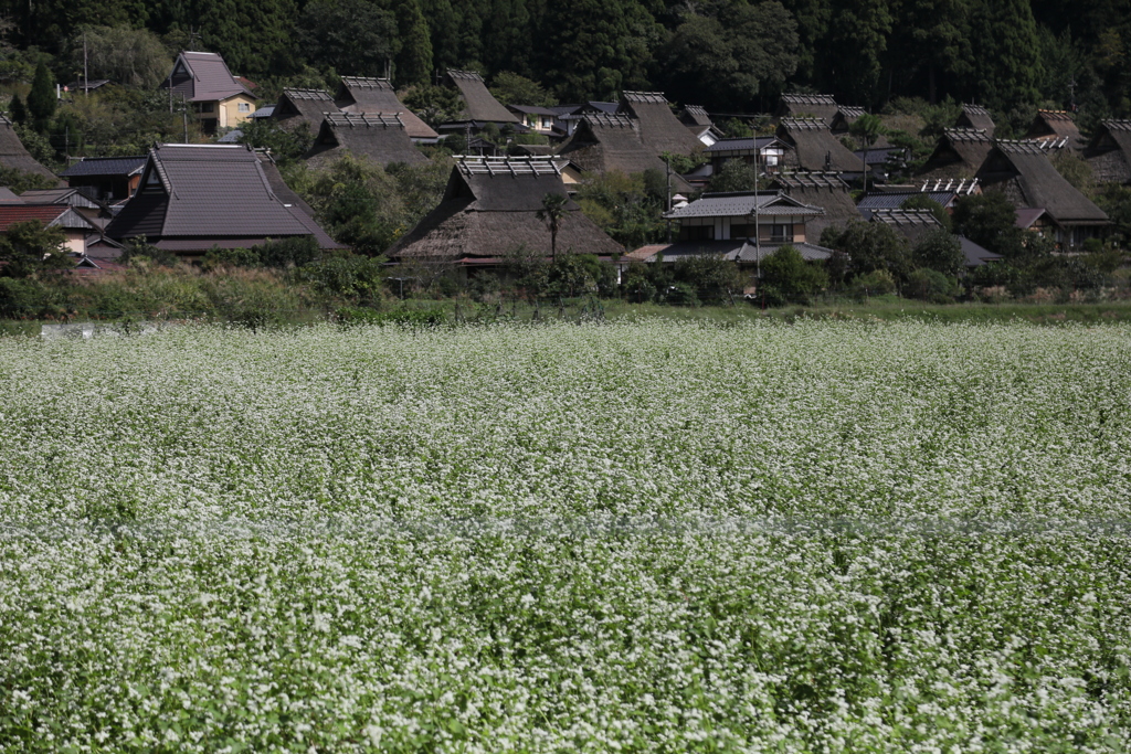 美山　秋の訪れ