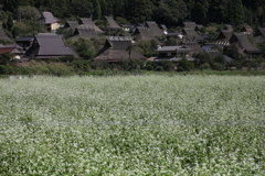 美山　秋の訪れ