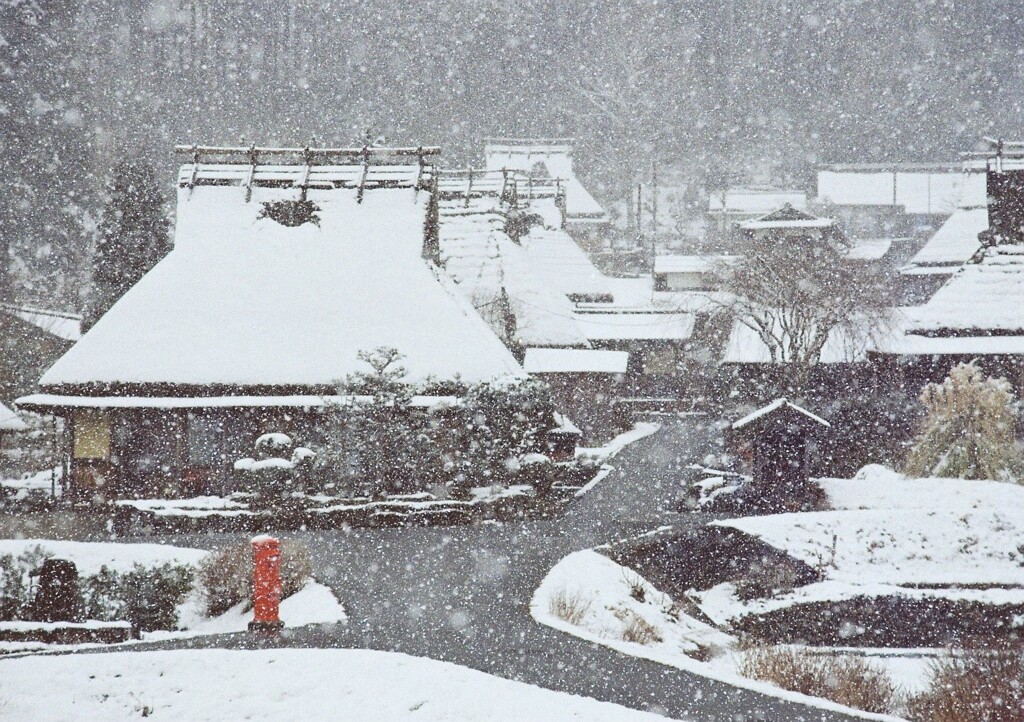 雪が降る