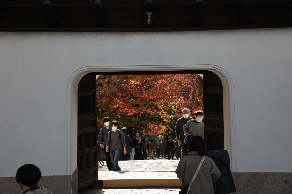 紅葉の風景　肆