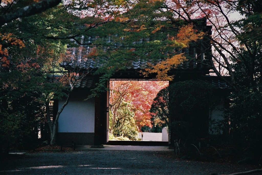 鷹峯　常照寺