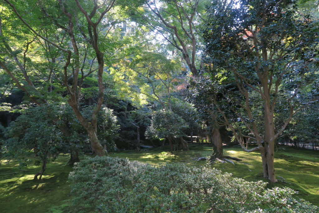 東山慈照寺　影と光