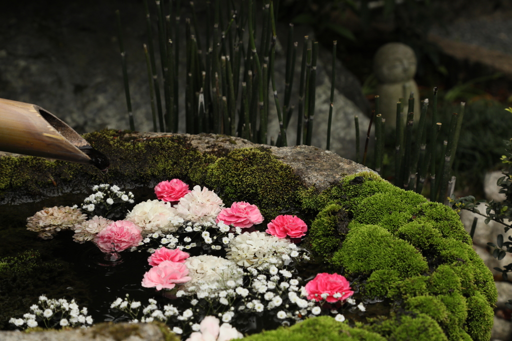 花手水　三景