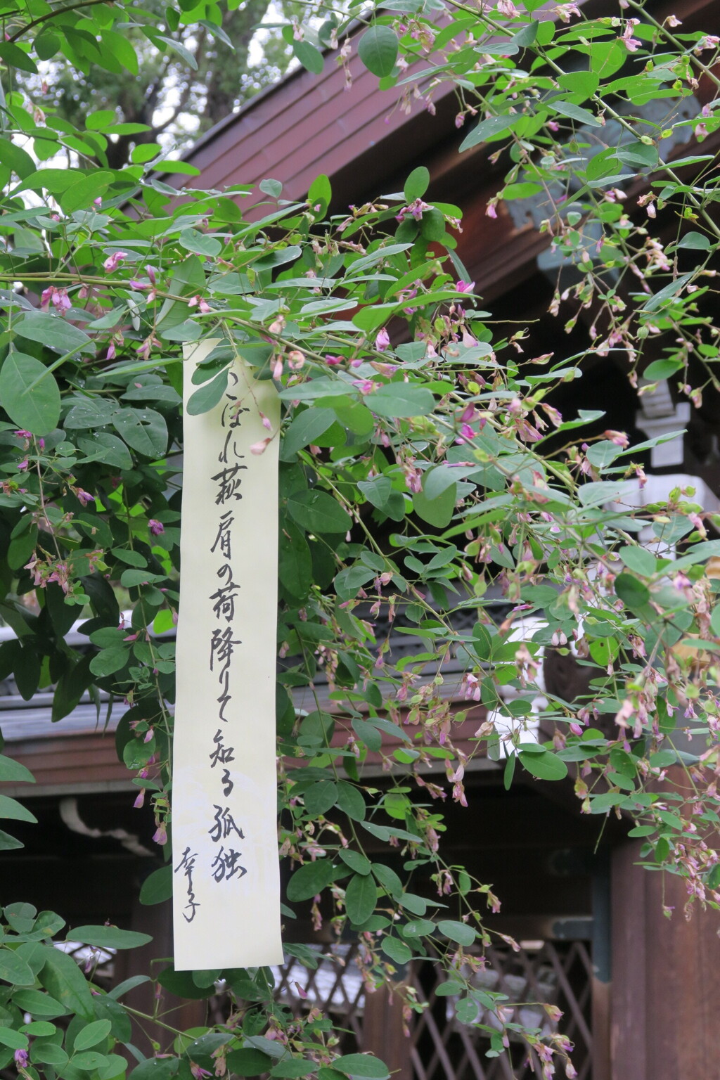 梨木神社　其の弐