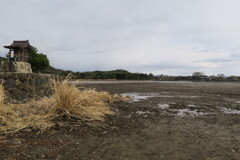 広沢の池の水全部抜いてみた。