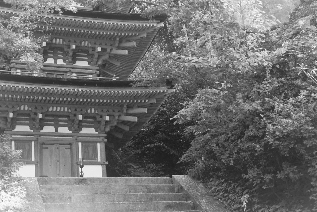浄瑠璃寺