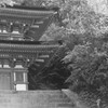 浄瑠璃寺