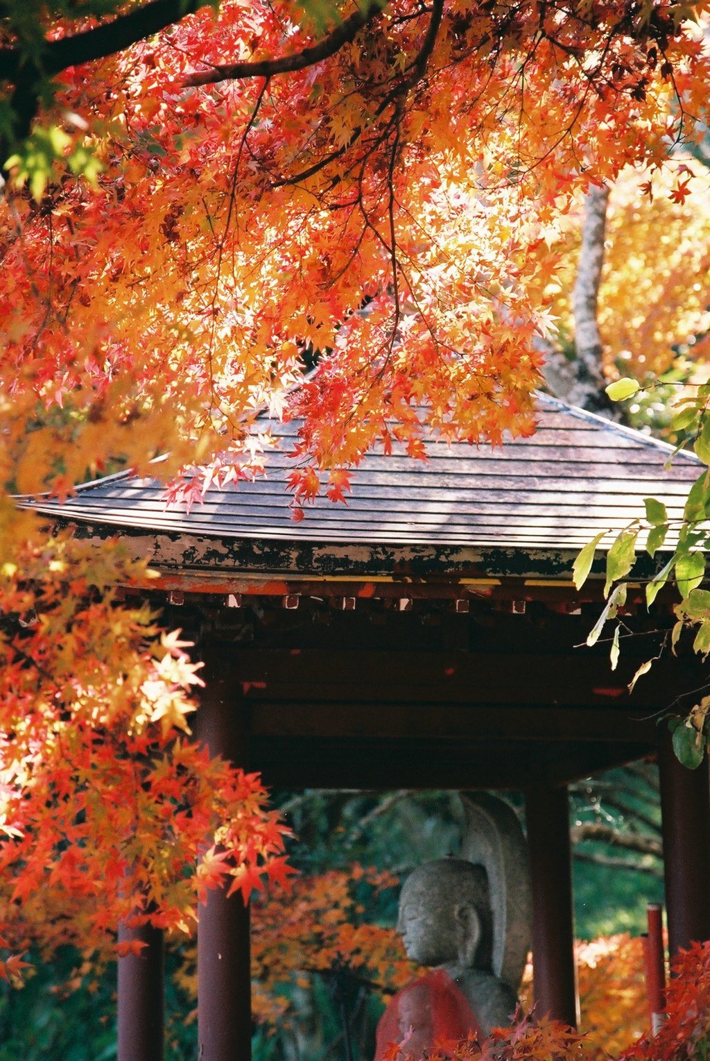 正法寺　その2