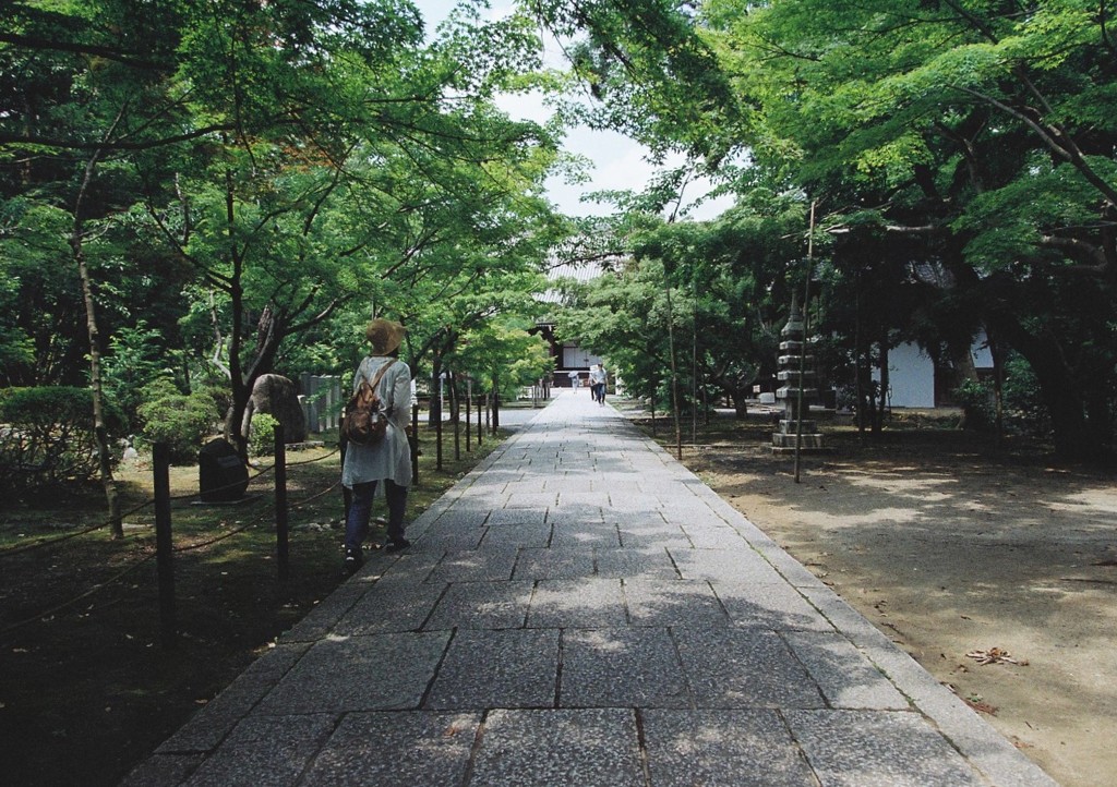 光明寺4　参道