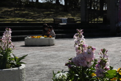 植物公園にて　春の日に　弐 　