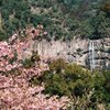熊野古道　大門坂から那智御滝へ 　陸