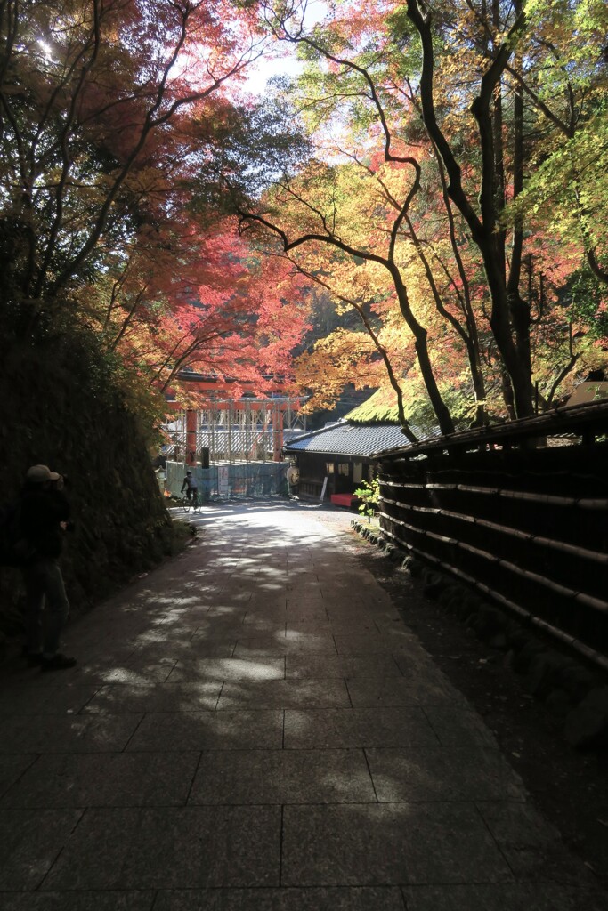 清滝　鳥居本其の参