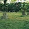 苔むす