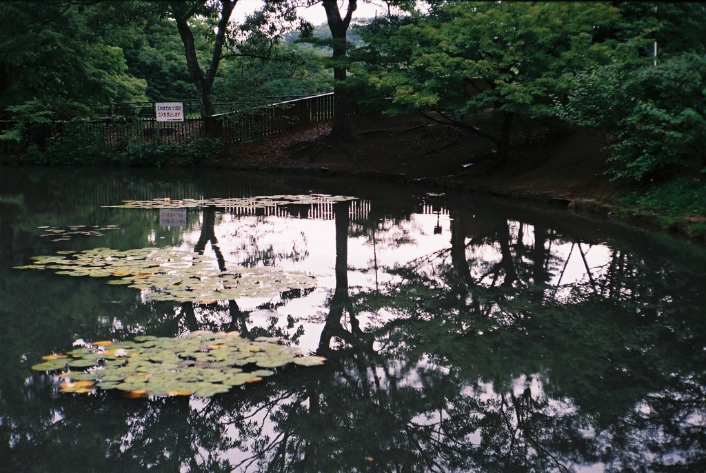 山田池公園05