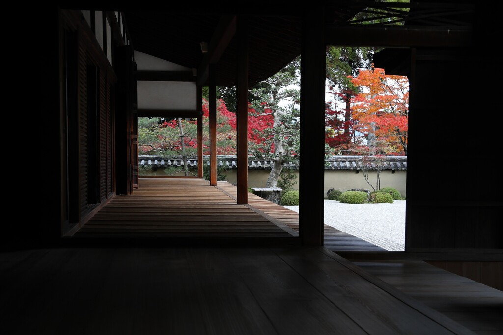 秋色詰め合わせ　其の弐　玖