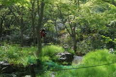 碧の中で