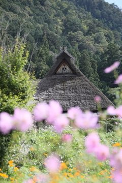 美山　秋の訪れ
