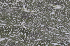 泡沫 （うたかた）